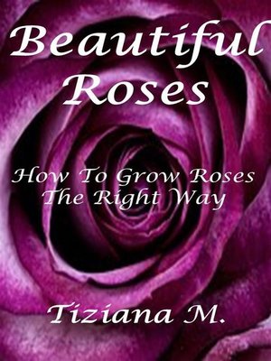 cover image of Beautiful Roses